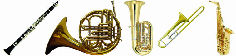 Musikverein Lustnau - Blechinstrumente